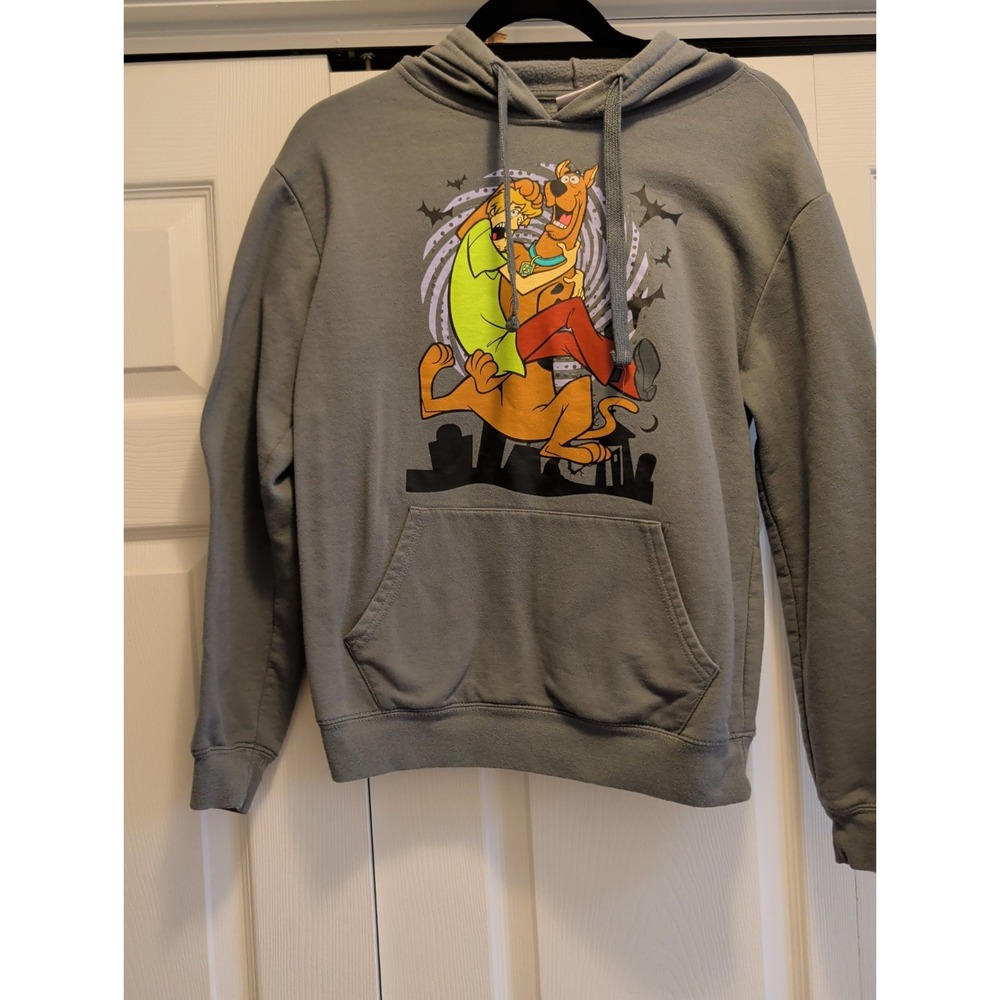 Scooby-Doo Shaggy Graphic Hoodie Gray Pullover Sweatshirt Mens Medium M